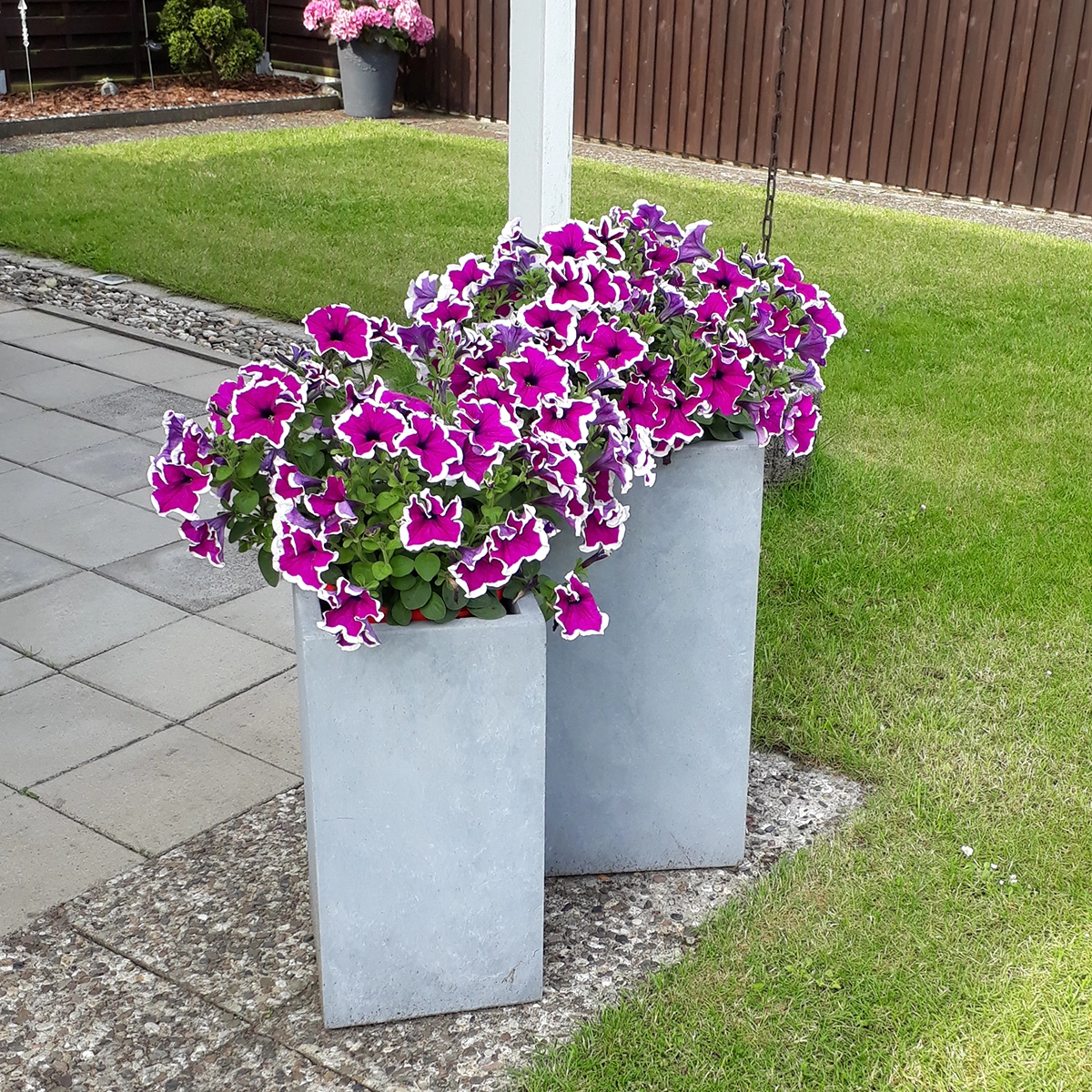 Direkter Zugang zum gepflegten Garten